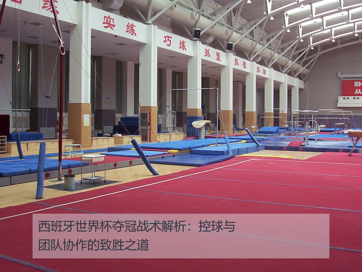 西班牙世界杯夺冠战术解析：控球与团队协作的致胜之道