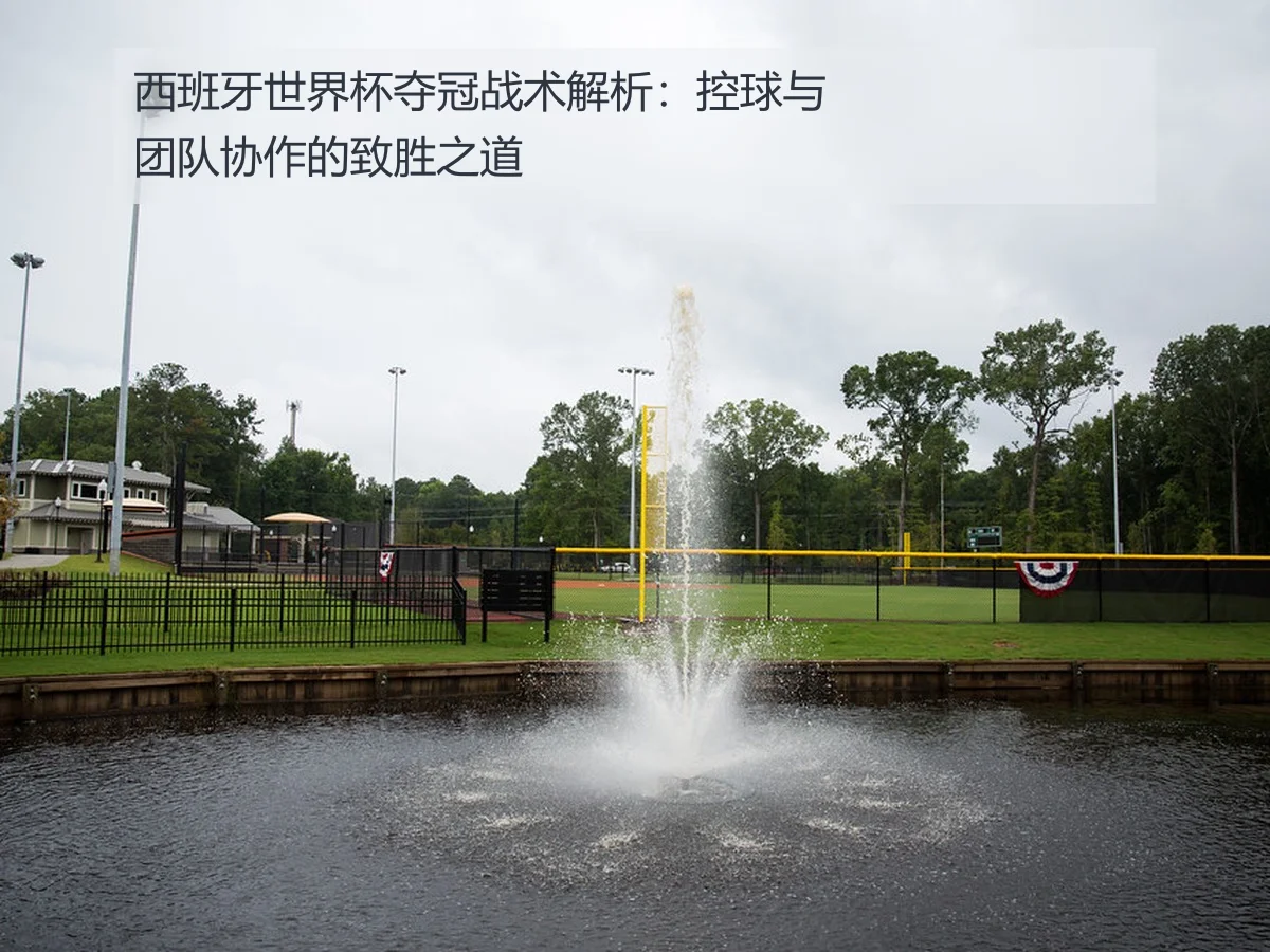 西班牙世界杯夺冠战术解析：控球与团队协作的致胜之道